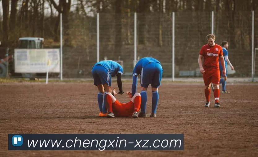 九游体育服务体系